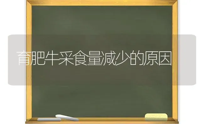 8月柑桔要点防裂果、促秋梢 | 瓜果种植