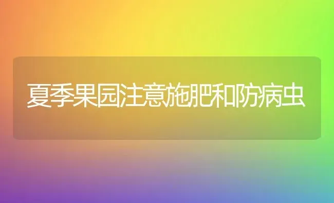 夏季果园注意施肥和防病虫 | 瓜果种植