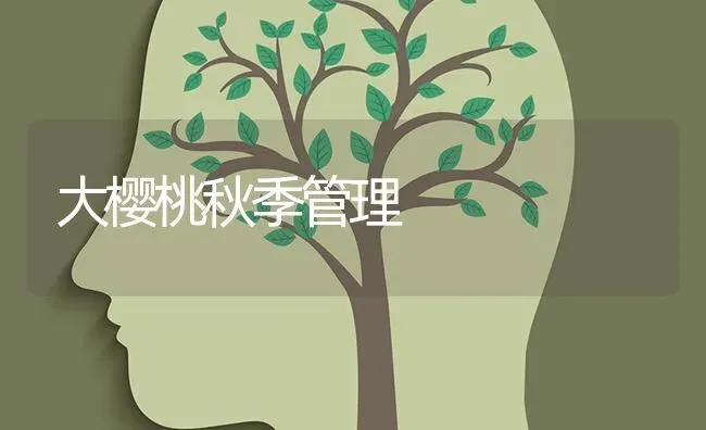 大樱桃秋季管理 | 瓜果种植