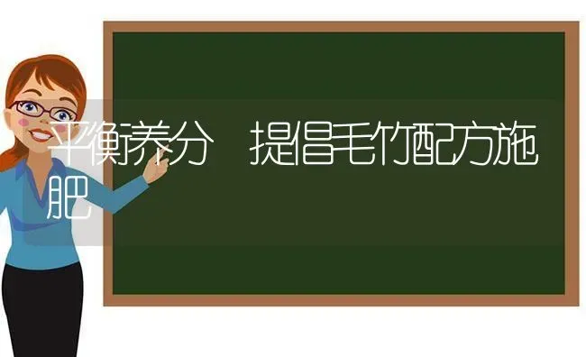 平衡养分 提倡毛竹配方施肥 | 种植肥料施肥