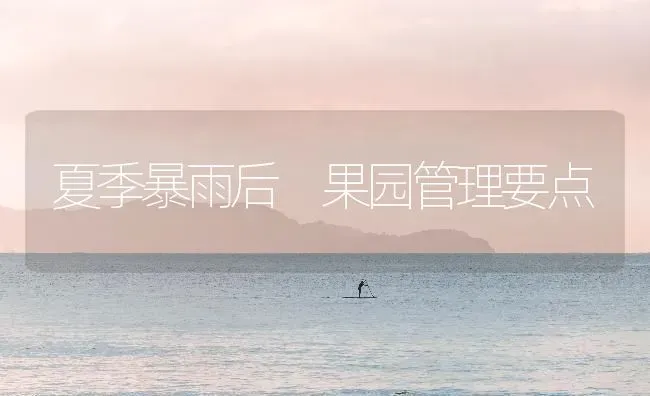 夏季暴雨后 果园管理要点 | 瓜果种植