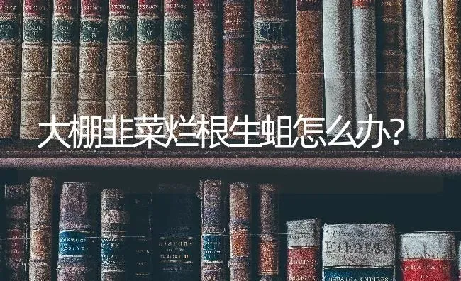 大棚韭菜烂根生蛆怎么办？ | 蔬菜种植