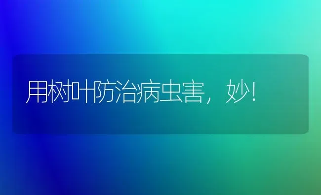 用树叶防治病虫害，妙！ | 种植病虫害防治