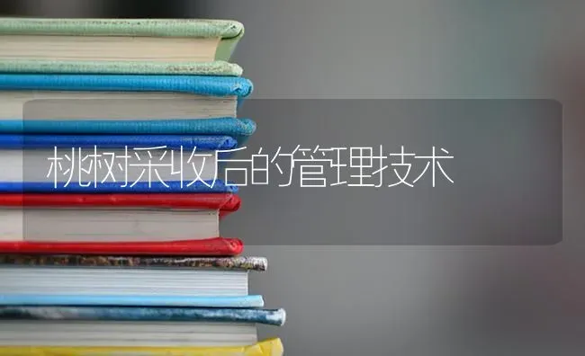 桃树采收后的管理技术 | 瓜果种植