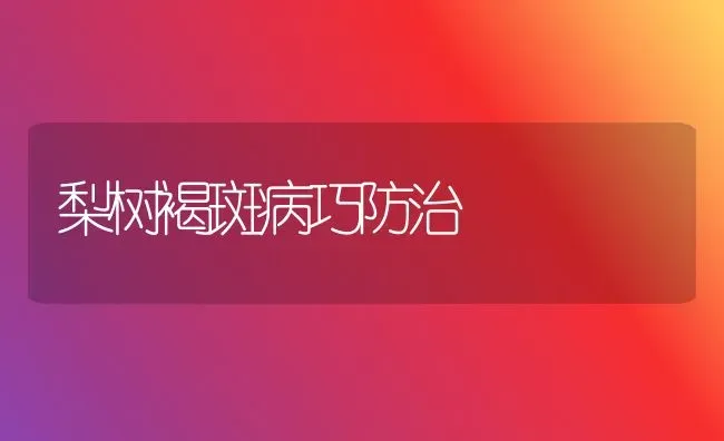 梨树褐斑病巧防治 | 瓜果种植