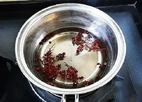 植物泡水|花椒可以泡水喝吗