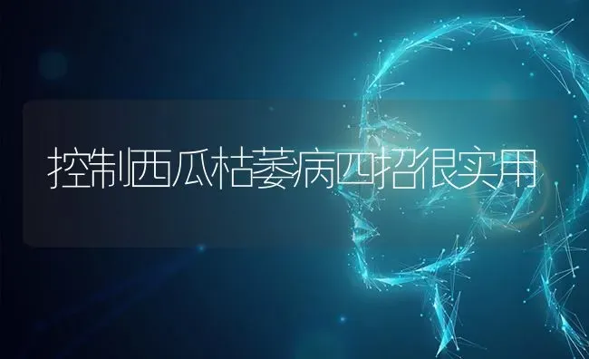 控制西瓜枯萎病四招很实用 | 瓜果种植