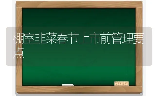 棚室韭菜春节上市前管理要点 | 蔬菜种植