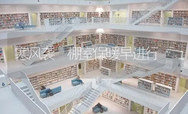越冬油菜防冻四要点 | 粮油作物种植