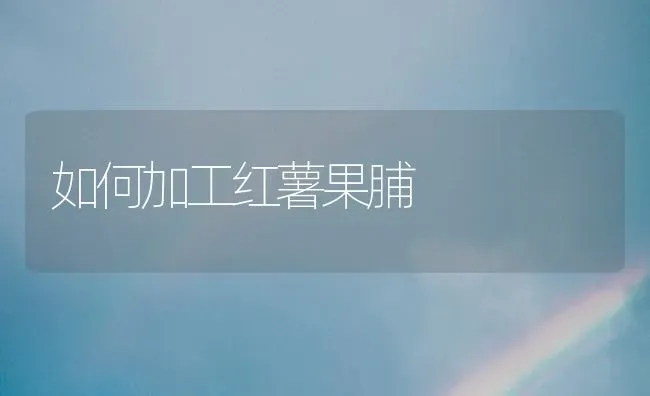如何加工红薯果脯 | 瓜果种植