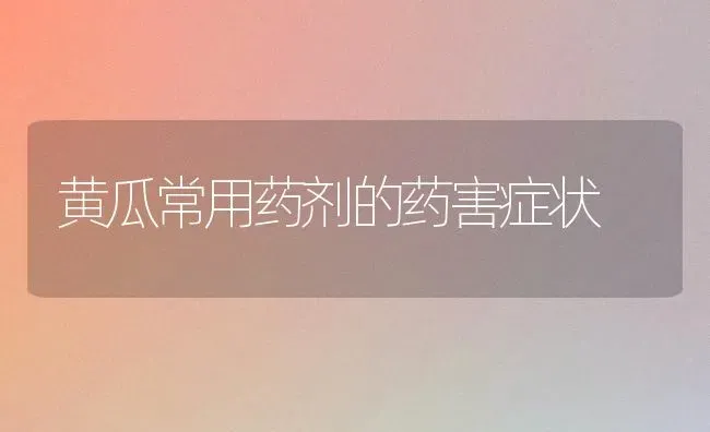 黄瓜常用药剂的药害症状 | 蔬菜种植