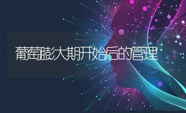 葡萄膨大期开始后的管理 | 瓜果种植