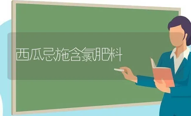 西瓜忌施含氯肥料 | 种植肥料施肥