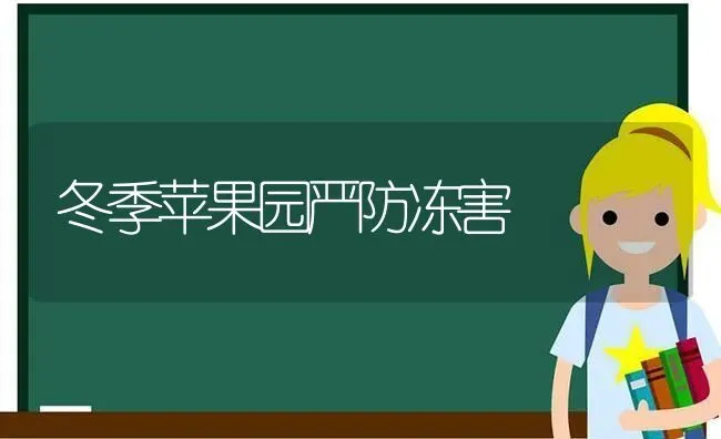 冬季苹果园严防冻害 | 瓜果种植