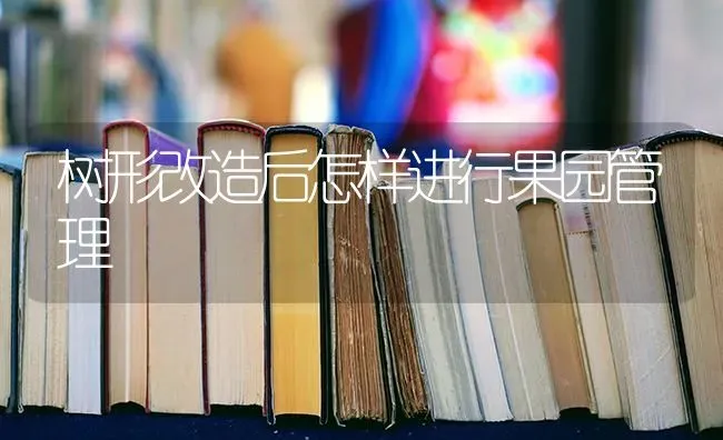 树形改造后怎样进行果园管理 | 瓜果种植