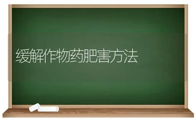 梨树冻害后管理四要点 | 瓜果种植