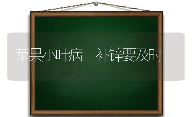 苹果小叶病 补锌要及时 | 瓜果种植