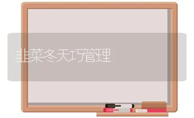 韭菜冬天巧管理 | 蔬菜种植