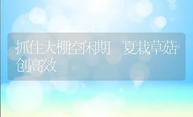 抓住大棚空闲期 夏栽草菇创高效 | 食用菌种植