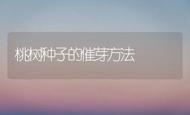 桃树种子的催芽方法 | 瓜果种植