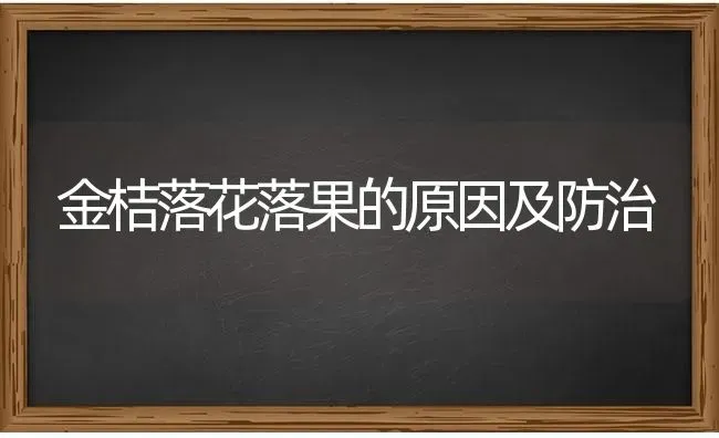 金桔落花落果的原因及防治 | 瓜果种植