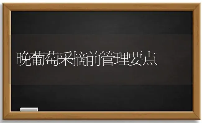 晚葡萄采摘前管理要点 | 瓜果种植