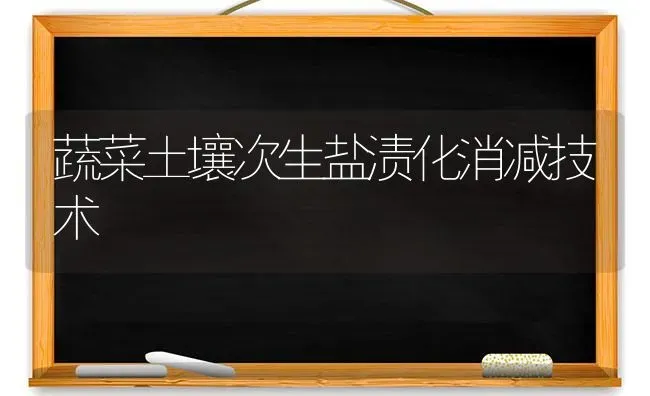 蔬菜土壤次生盐渍化消减技术 | 蔬菜种植