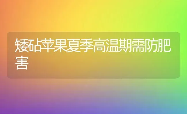 矮砧苹果夏季高温期需防肥害 | 瓜果种植