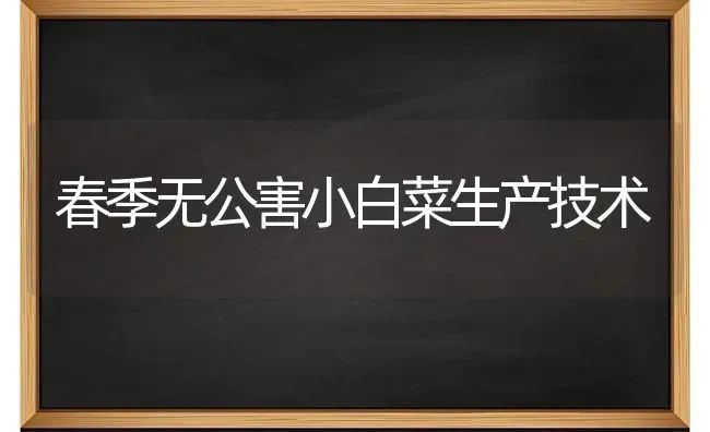 春季无公害小白菜生产技术 | 蔬菜种植