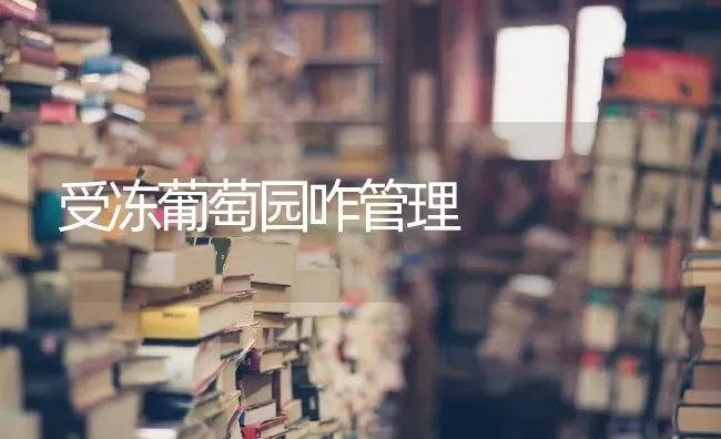 受冻葡萄园咋管理 | 瓜果种植