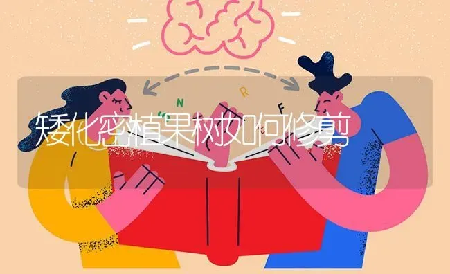 矮化密植果树如何修剪 | 瓜果种植