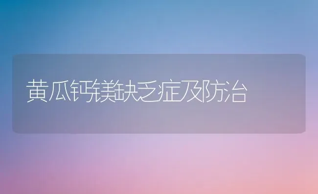黄瓜钙镁缺乏症及防治 | 蔬菜种植