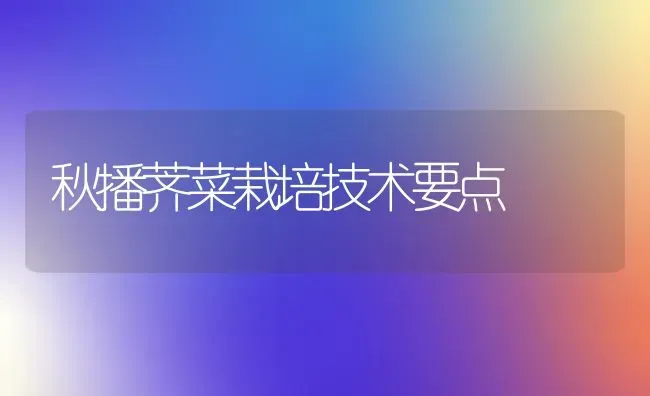 秋播荠菜栽培技术要点 | 蔬菜种植