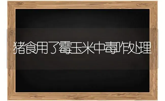 猪食用了霉玉米中毒咋处理 | 粮油作物种植