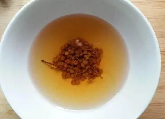 植物泡水|花椒可以泡水喝吗