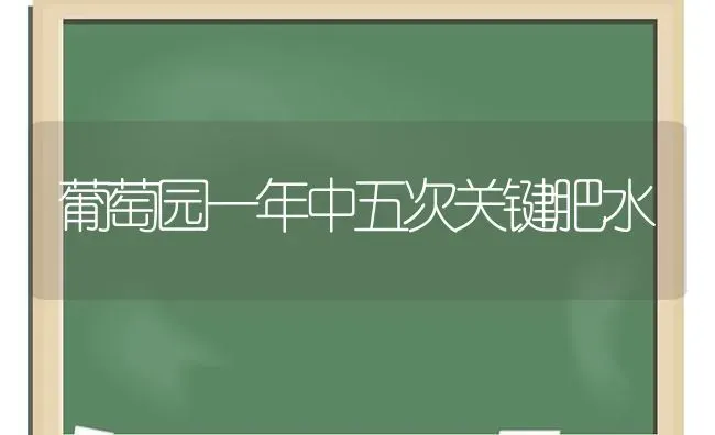 葡萄园一年中五次关键肥水 | 瓜果种植