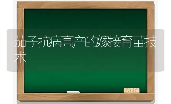 茄子抗病高产的嫁接育苗技术 | 蔬菜种植