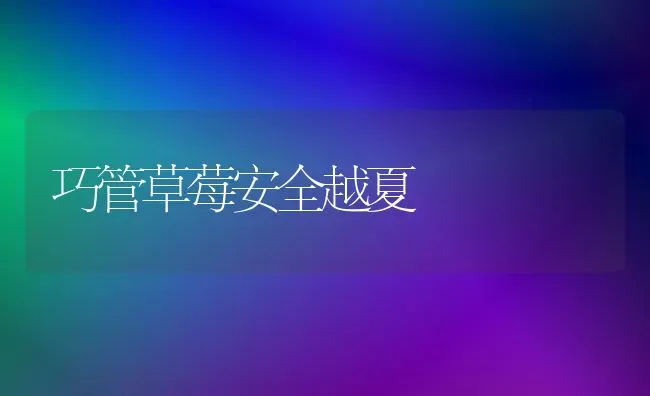 巧管草莓安全越夏 | 瓜果种植