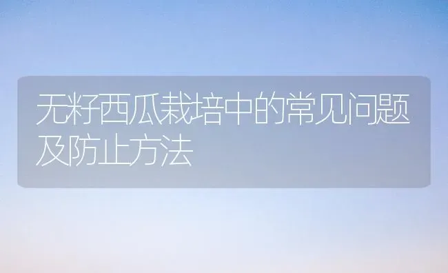 无籽西瓜栽培中的常见问题及防止方法 | 瓜果种植