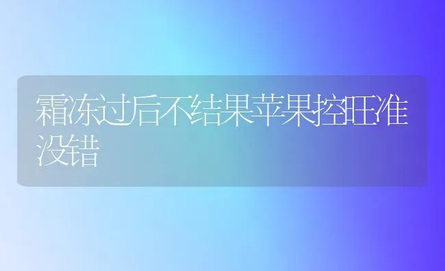 霜冻过后不结果苹果控旺准没错 | 瓜果种植