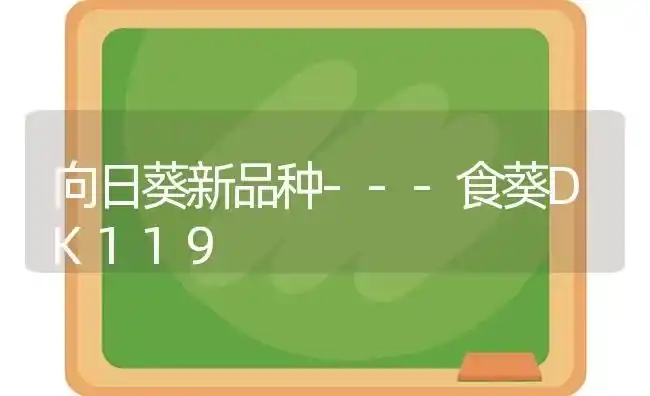 向日葵新品种---食葵DK119 | 粮油作物种植