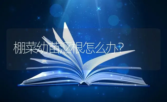 棚菜幼苗沤根怎么办？ | 蔬菜种植