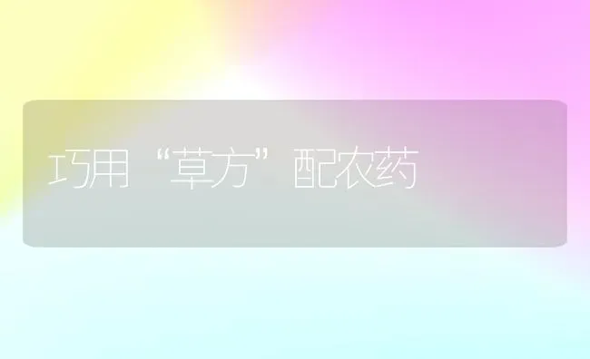 巧用“草方”配农药 | 种植病虫害防治