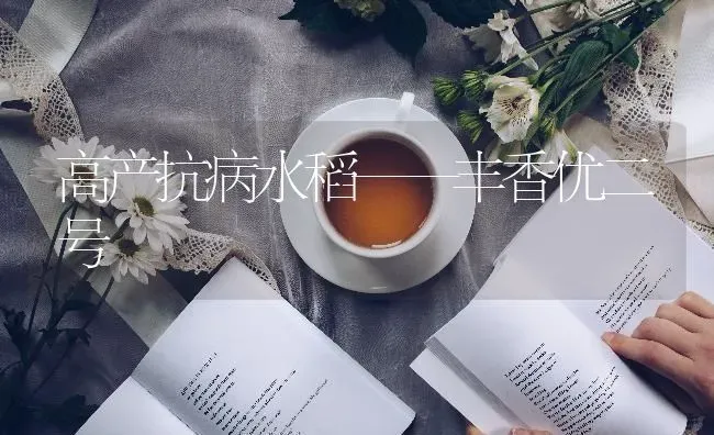 高产抗病水稻——丰香优二号 | 粮油作物种植