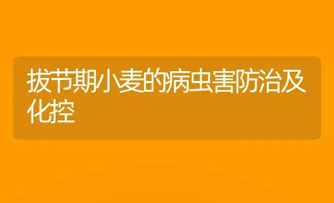 拔节期小麦的病虫害防治及化控 | 粮油作物种植