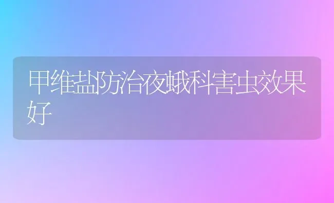 甲维盐防治夜蛾科害虫效果好 | 瓜果种植