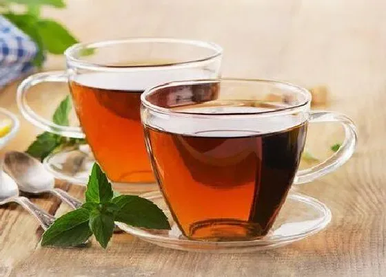 植物产地|冰岛茶产地在哪里 冰岛古树茶产自哪里最正宗