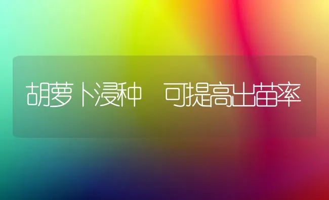 胡萝卜浸种 可提高出苗率 | 蔬菜种植
