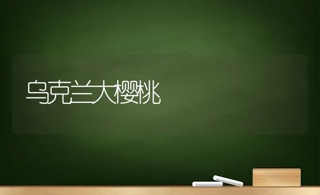 乌克兰大樱桃 | 瓜果种植