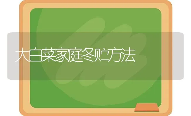 大白菜家庭冬贮方法 | 蔬菜种植